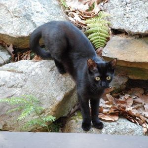 Meet your Posher, Patricia